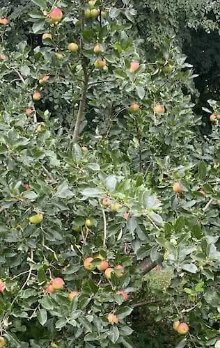 Appartement Fredensgaard Naer Billund